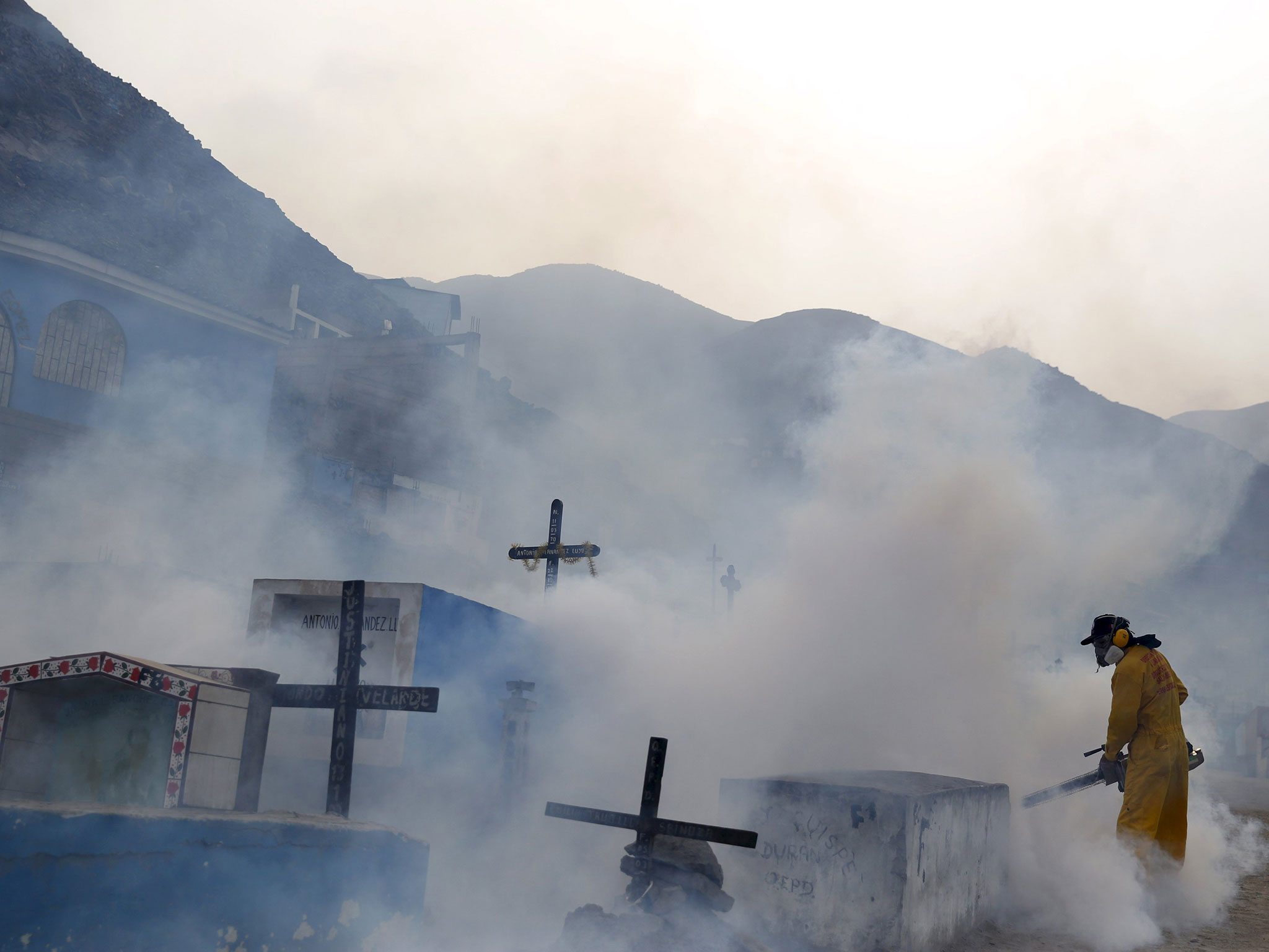  Estudio indica que un tercio de la humanidad vive en zonas de riesgo de propagación del zika