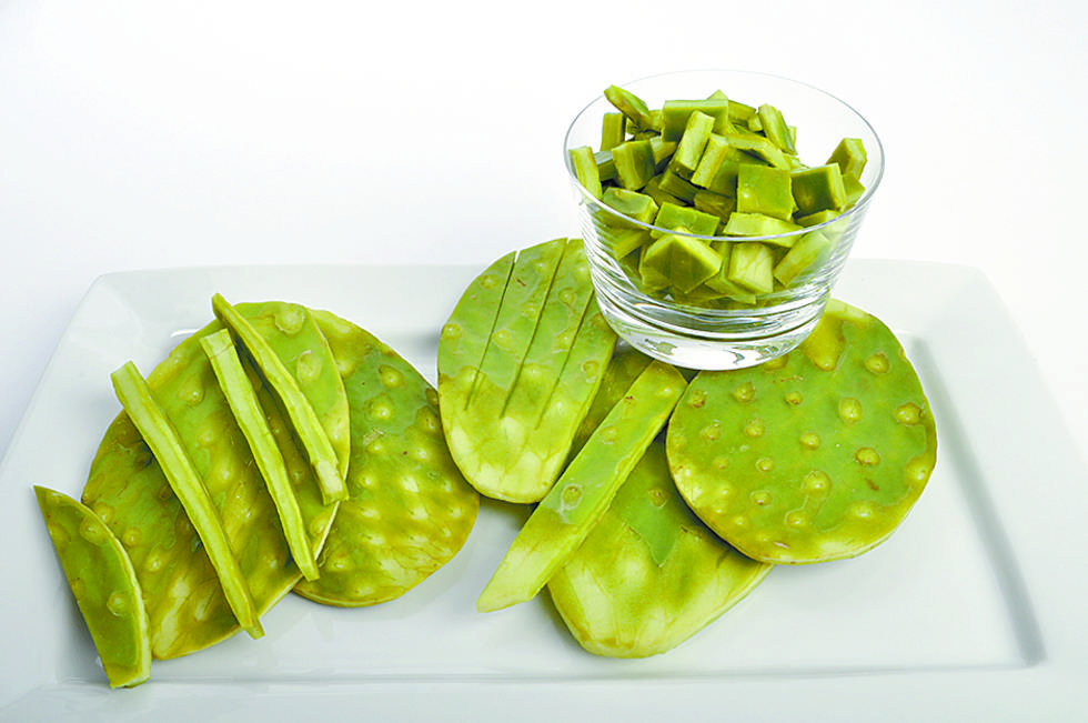  Nopal, fuente de salud y belleza