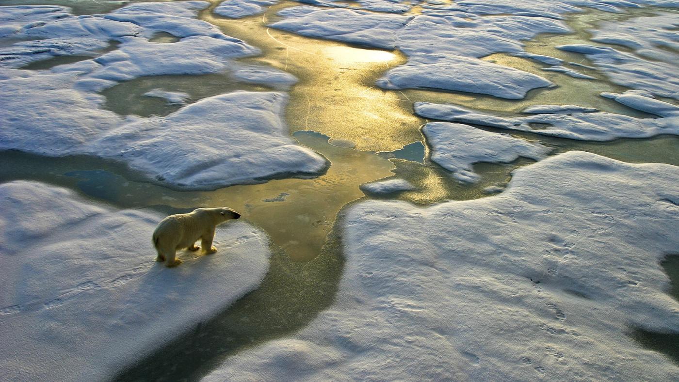  Meteorólogos piden triplicar esfuerzos contra cambio climático