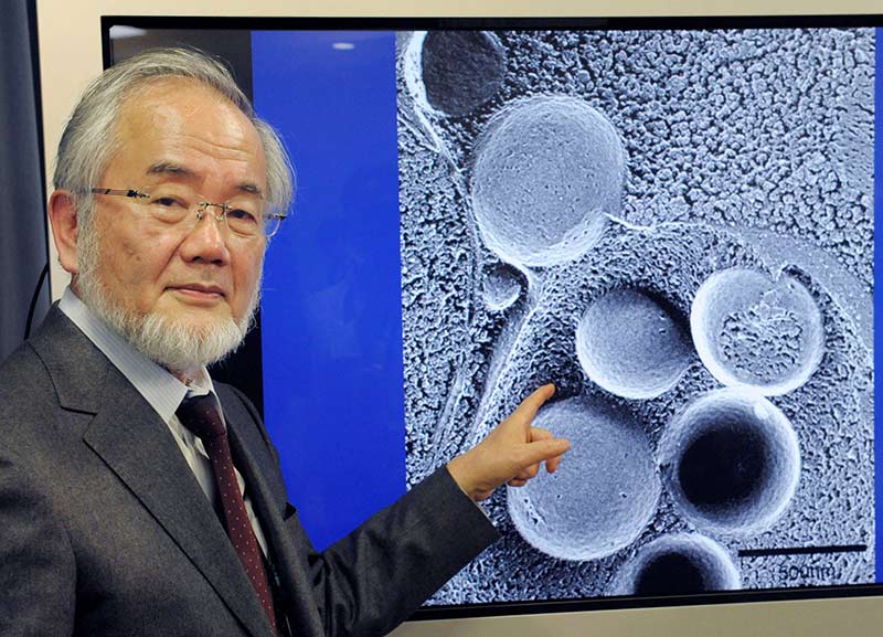  Biólogo japonés gana el Nobel de Medicina