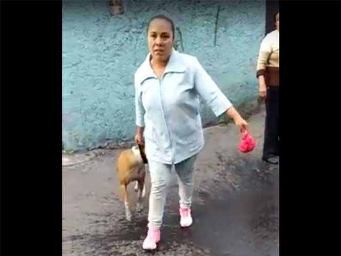  (Video) Pitbull mata a otro perro y su dueña amenaza a vecinos