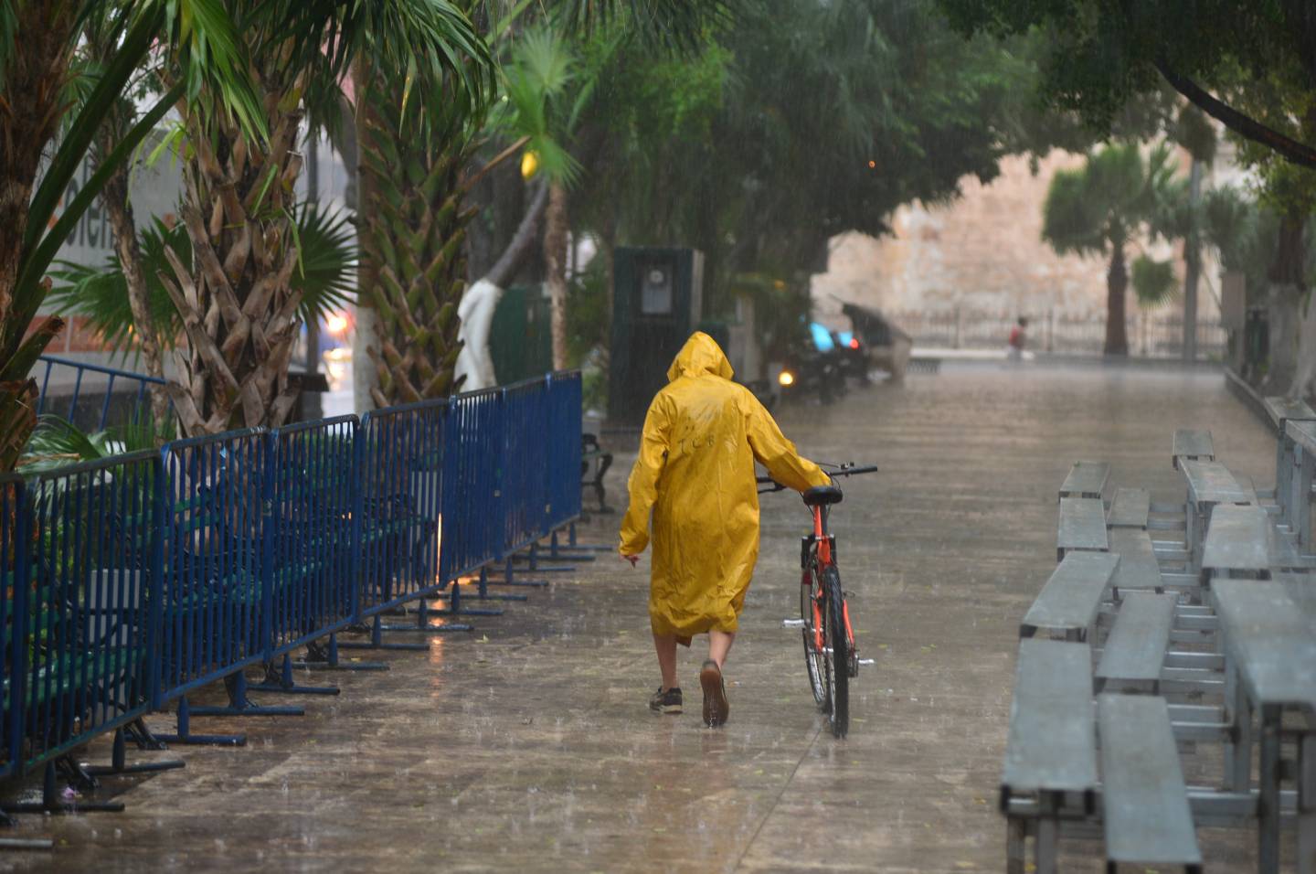  Se prevén lluvias en la mayor parte del país