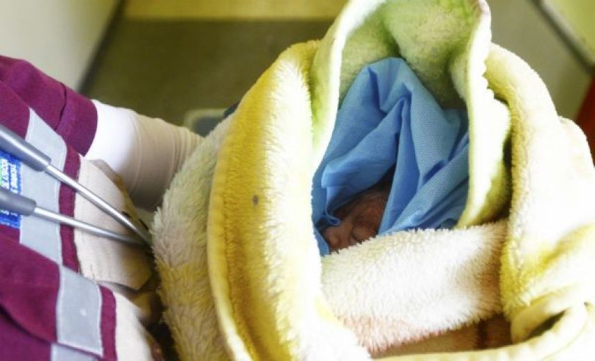  Abandonan a bebé en Veracruz y muere por hipotermia