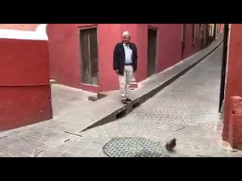  (Video) Se burlan en redes sociales de AMLO por perseguir a una paloma