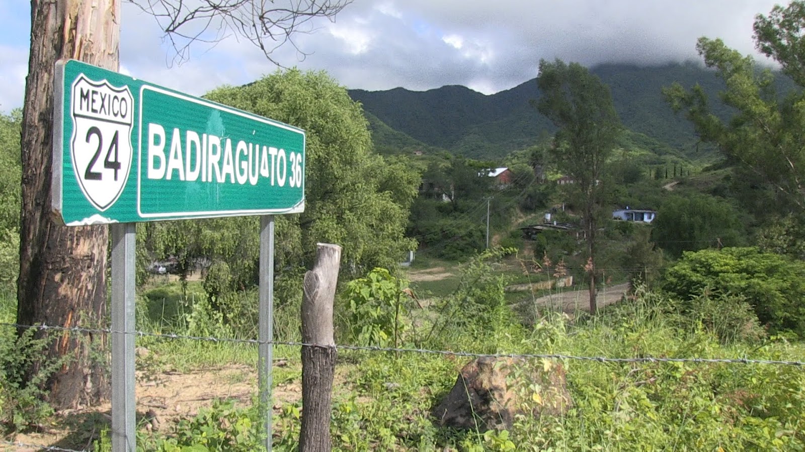  Cárteles se disputan zona del Triángulo Dorado