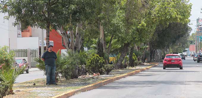  Defiende SEGAM metrobús en Av. Industrias; “no habrá ecocidio”