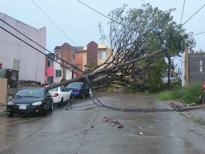  Lluvias azotan a Tamaulipas; evaluarán hoy las zonas afectadas