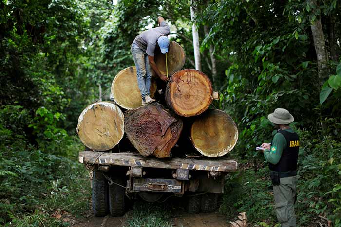  Deforestación arrasa con la Amazonia; el peor nivel en casi una década