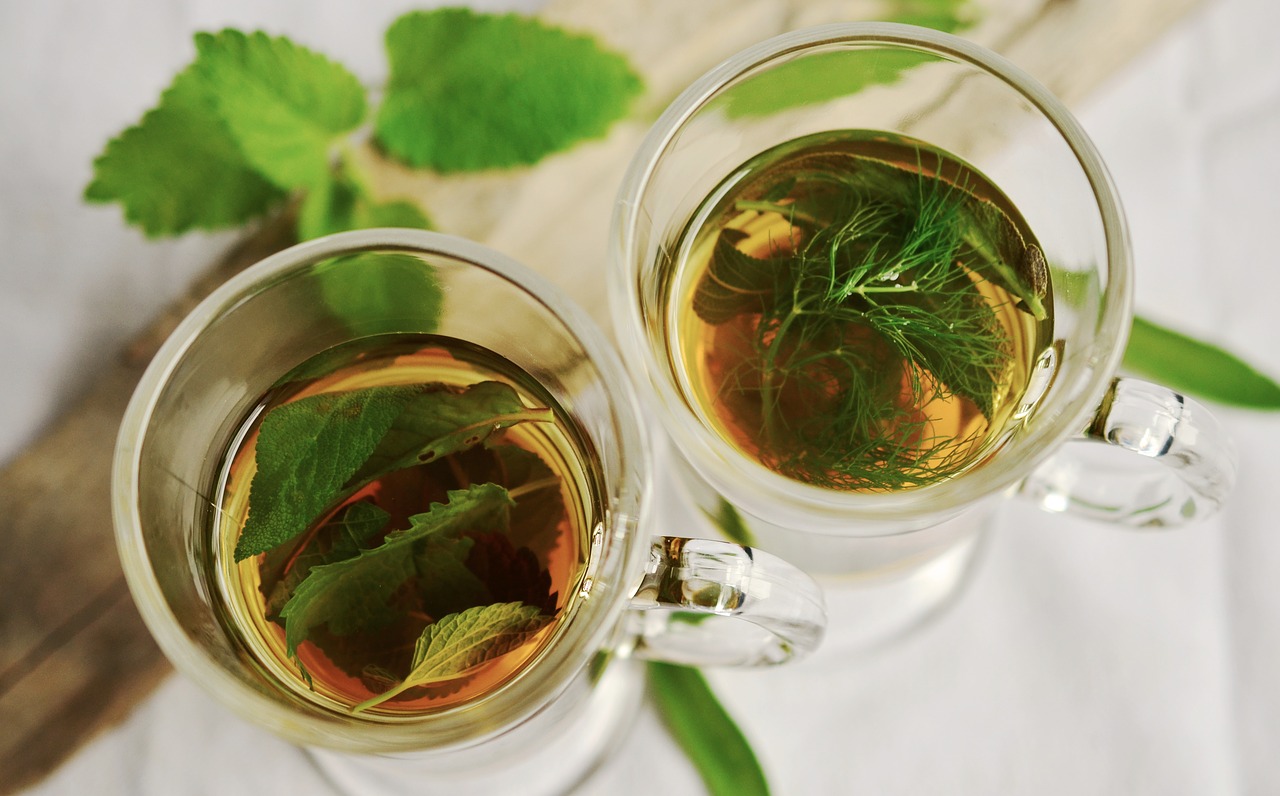  Té verde podría ayudar a regenerar células cerebrales
