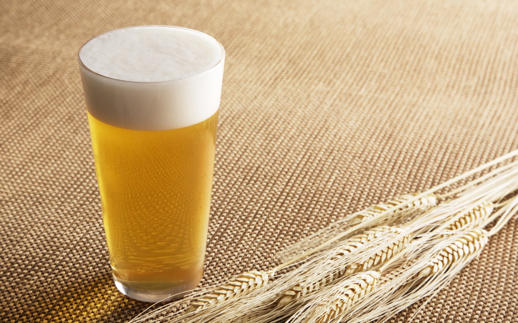  Una cerveza al día puede evitar ataques al corazón