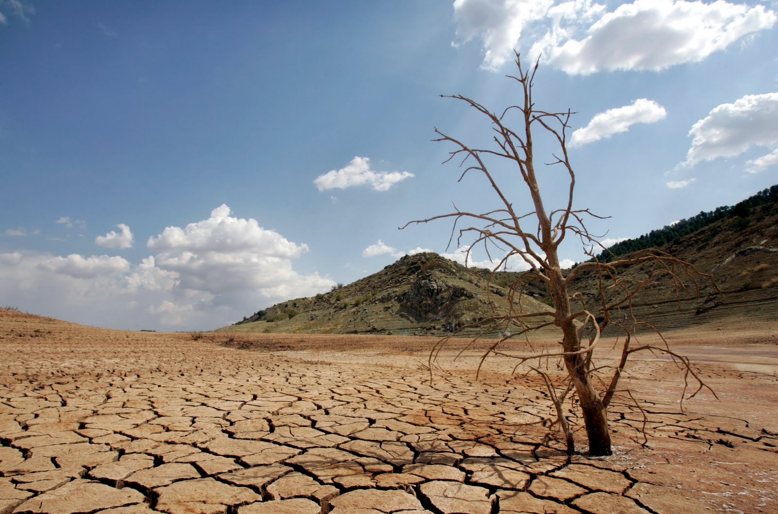 Pedirán a Semarnat reforzar estrategias para combatir sequía en el estado