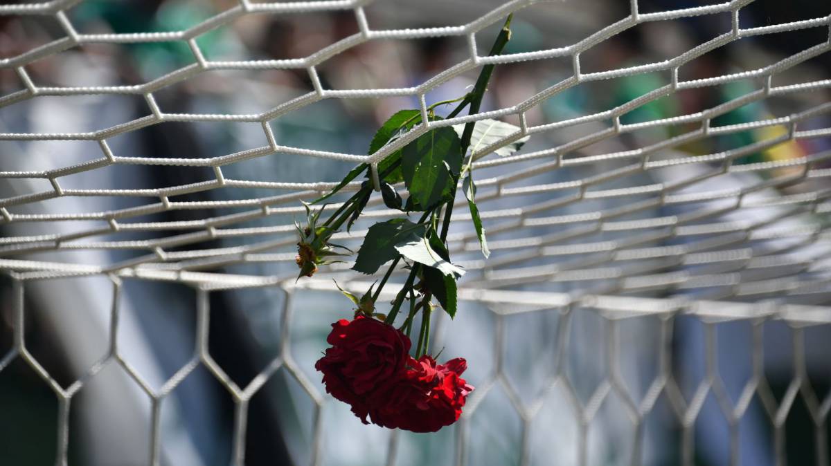  Los culpables del avionazo del Chapecoense