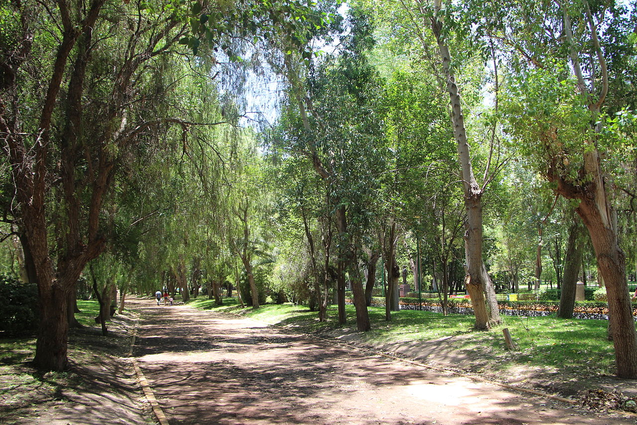  15%, el avance de Parque Tangamanga en Valles; concluirán en marzo