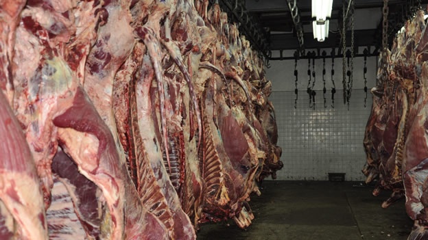  Línea de bovinos del rastro, clausurada por razones políticas: Gallardo