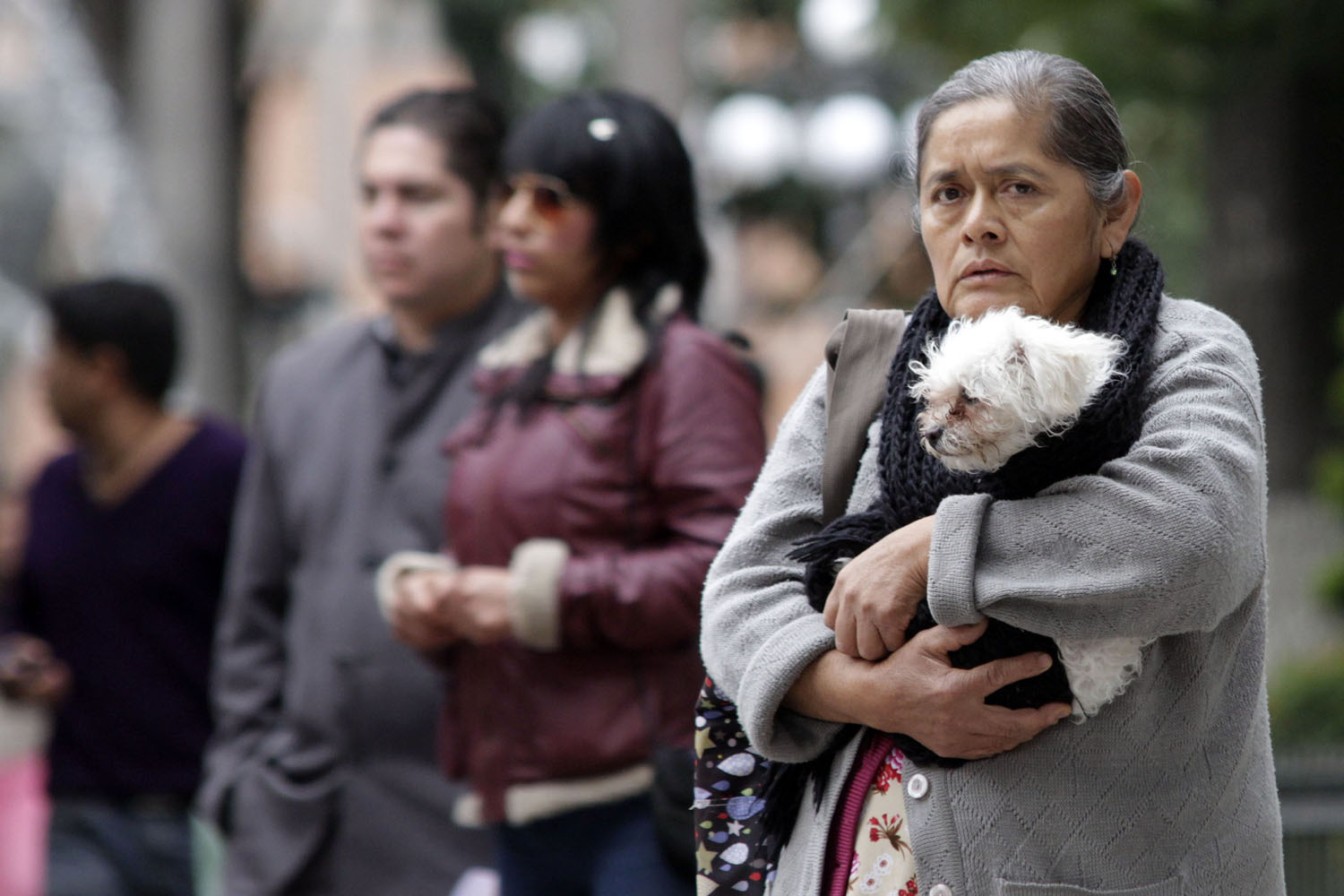  Frío y más frío para gran parte del país