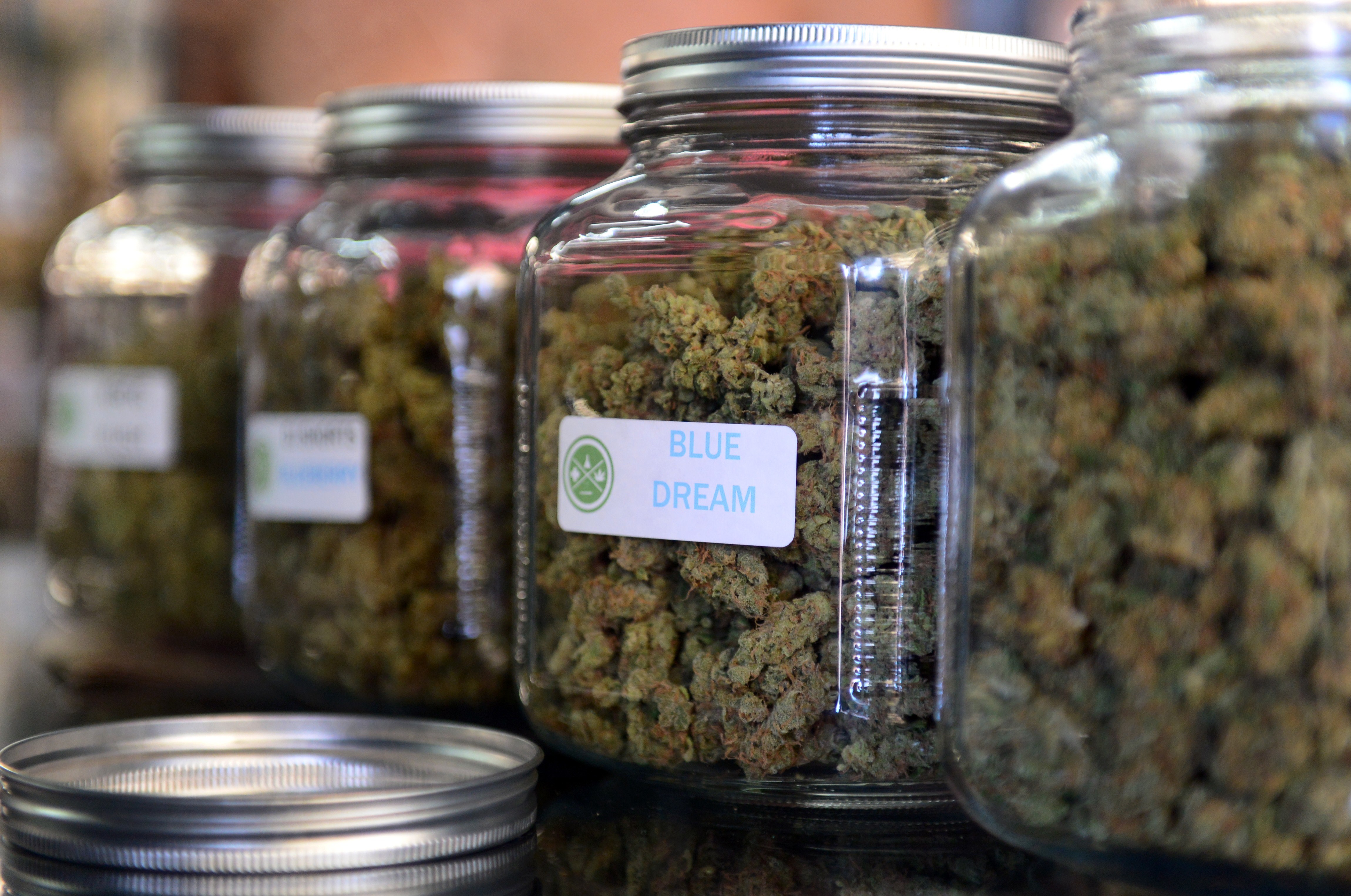  Marihuana medicinal: lo que incluye la iniciativa