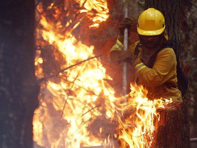  50 brigadistas mexicanos llegan a Chile; combatirán incendios