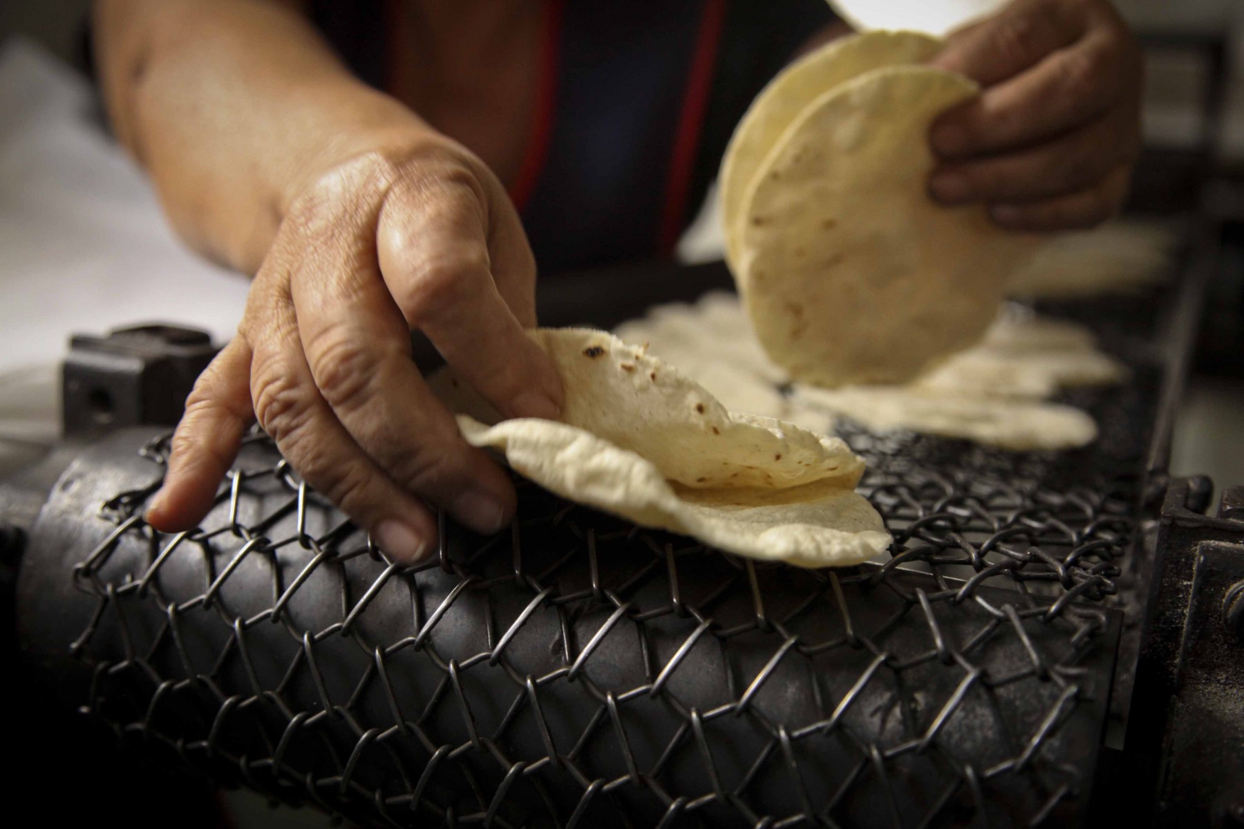  Profeco va contra quien eleve precio de tortilla, huevo… por gasolinazo