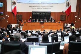  Proponen punto de acuerdo sobre Greta en el Senado