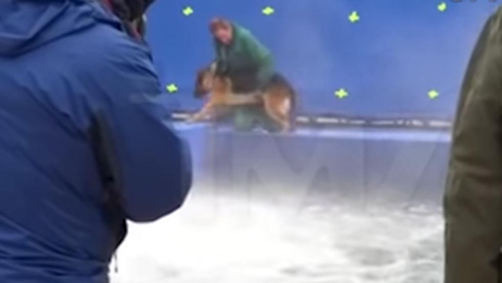  Piden boicotear una película de Hollywood por este maltrato animal: VIDE0