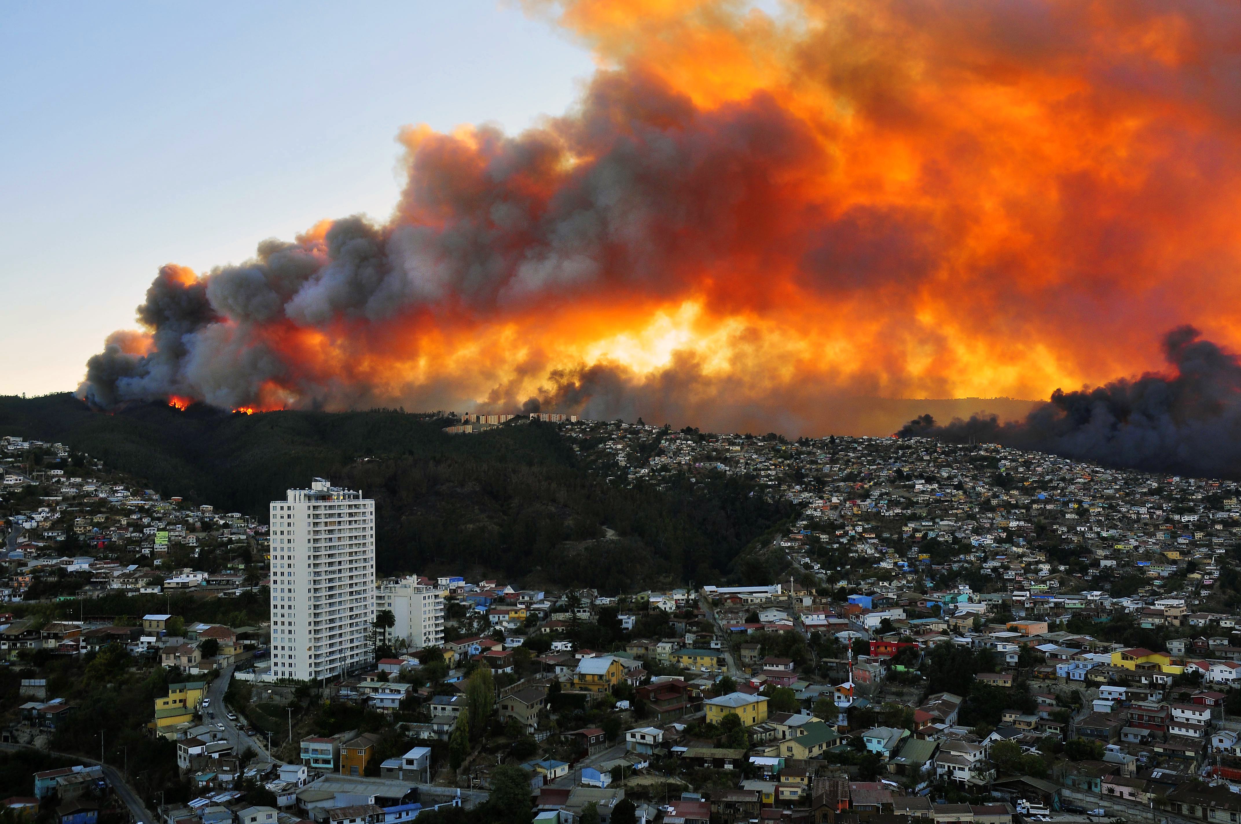  Incendios forestales destruyen todo a su paso en Chile