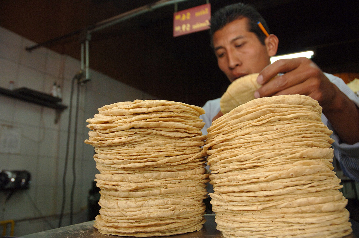  Investiga COFECE manipulación del precio de la tortilla en SLP