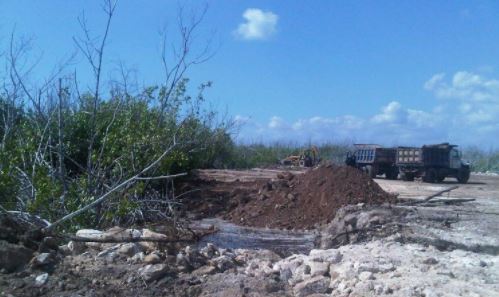  Inmobiliarias destruyen 120 hectáreas de Manglar en Puerto Morelos