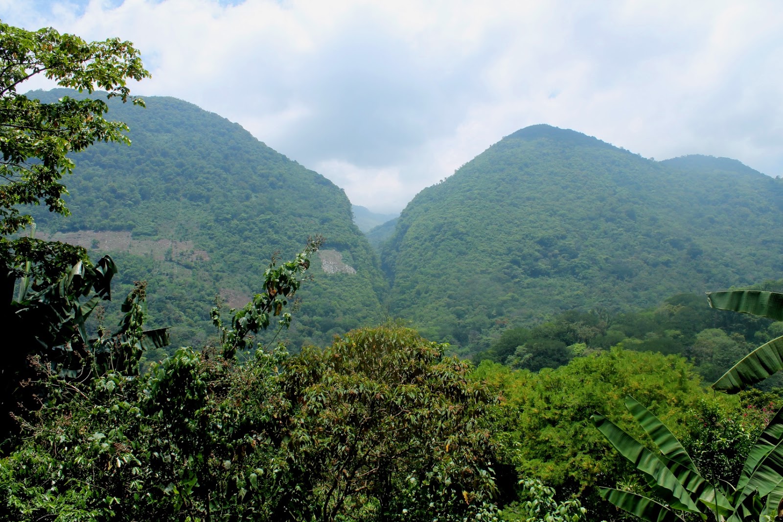  Semarnat autoriza ecocidio en Xilitla; podría tratarse de un área natural protegida: Segam