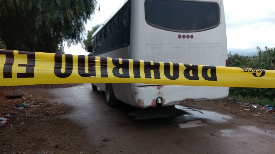 Berenice ya está bien, luego de haber sido atacada