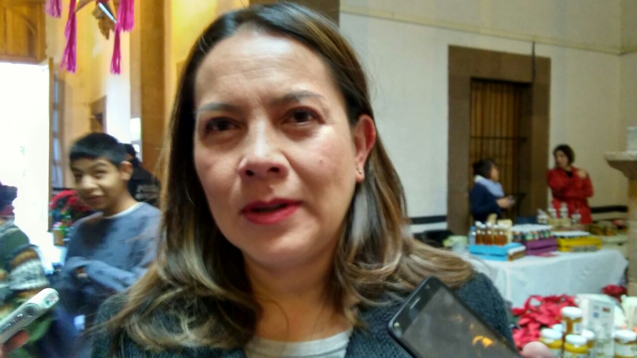  Ley de Seguridad Interior abre la puerta al autoritarismo: diputada federal