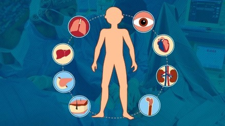  Reporta CETRA 56 procedimientos de trasplantes de órganos