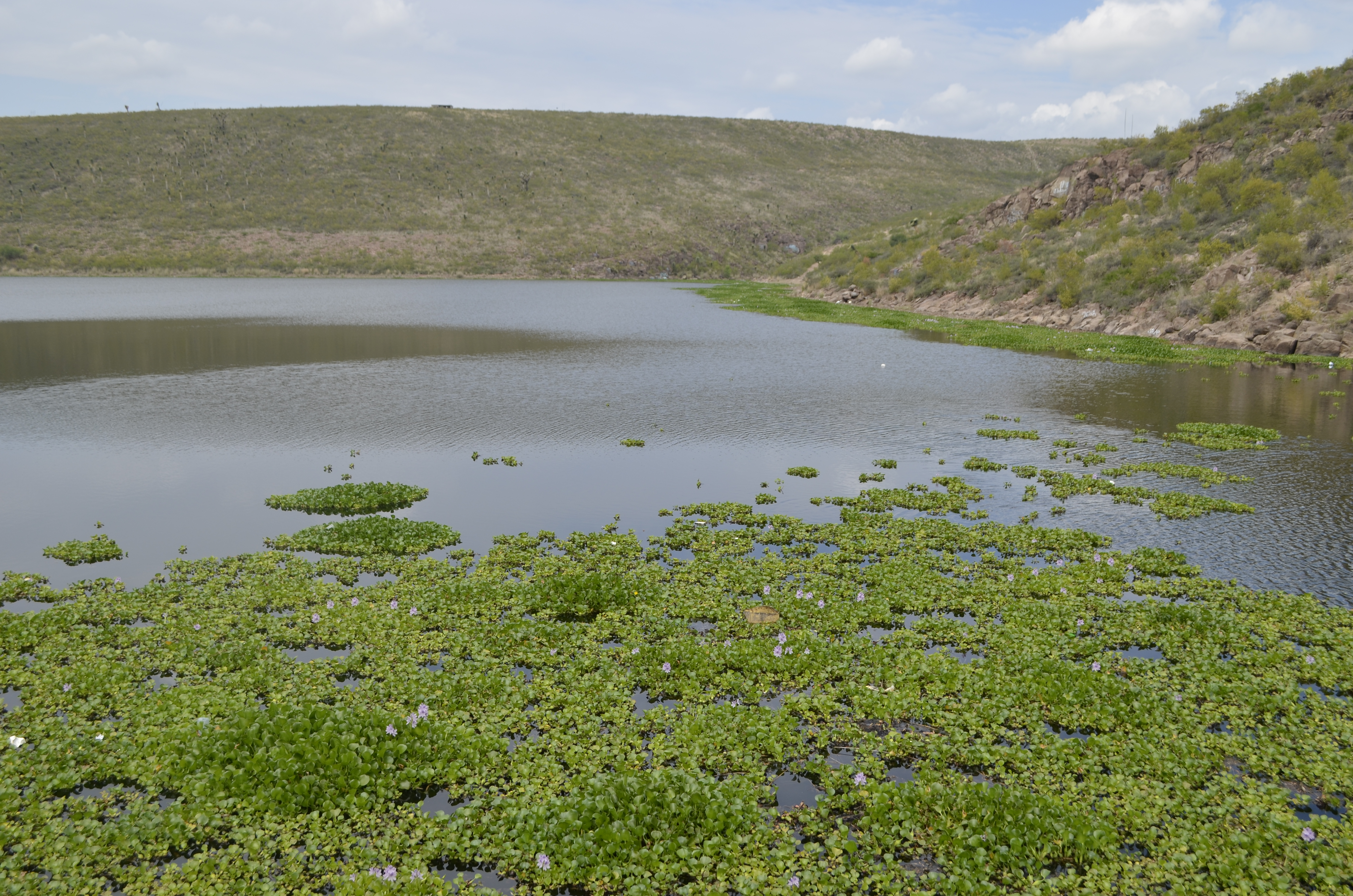  Más del 70 por ciento de los cuerpos de agua en México están contaminados: IMTA