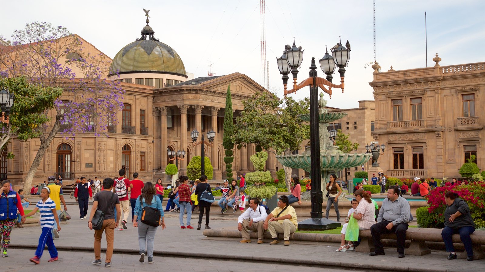  Discriminar en San Luis Potosí, un fenómeno vivo