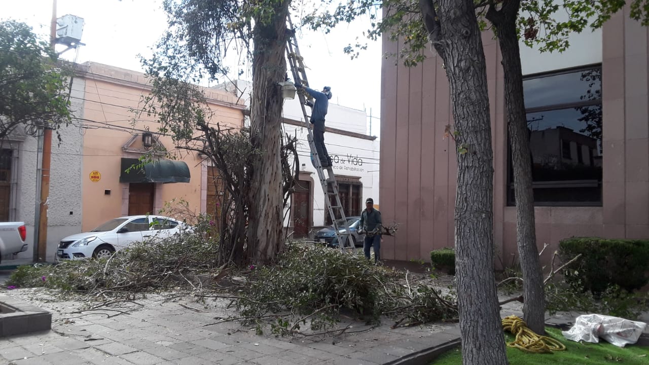  Jucopo autorizó 600 mil pesos para “arreglos pequeños” del Congreso