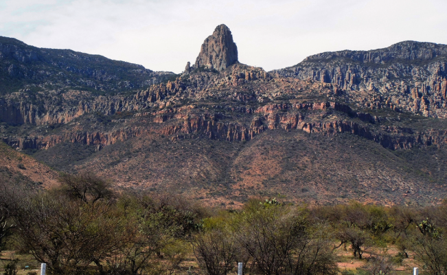  Crítica activista que Ayuntamiento quiera determinar las áreas urbanizables de la Sierra de San Miguelito