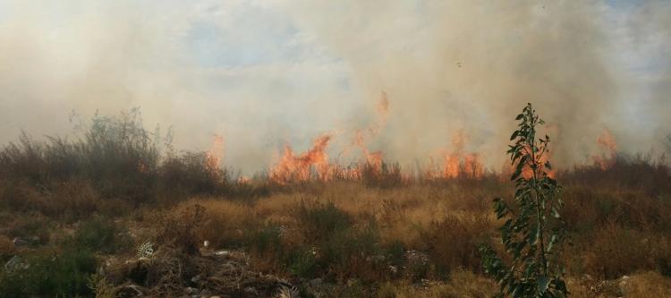  Ecología Municipal detecta tres incendios de residuos en Milpillas