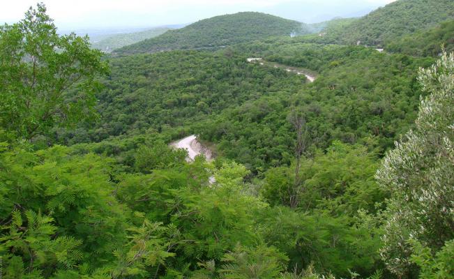  Sierra de Álvarez no está en riesgo, asegura Yvett Salazar