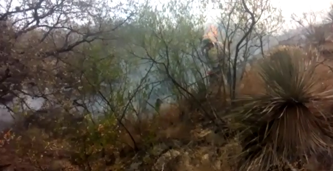  Llegan incendios a parque ecoturístico, muy cerca de la zona industrial