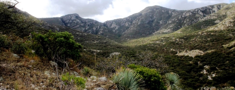  Sierra de San Miguelito: la urgencia de preservar el capital verde potosino