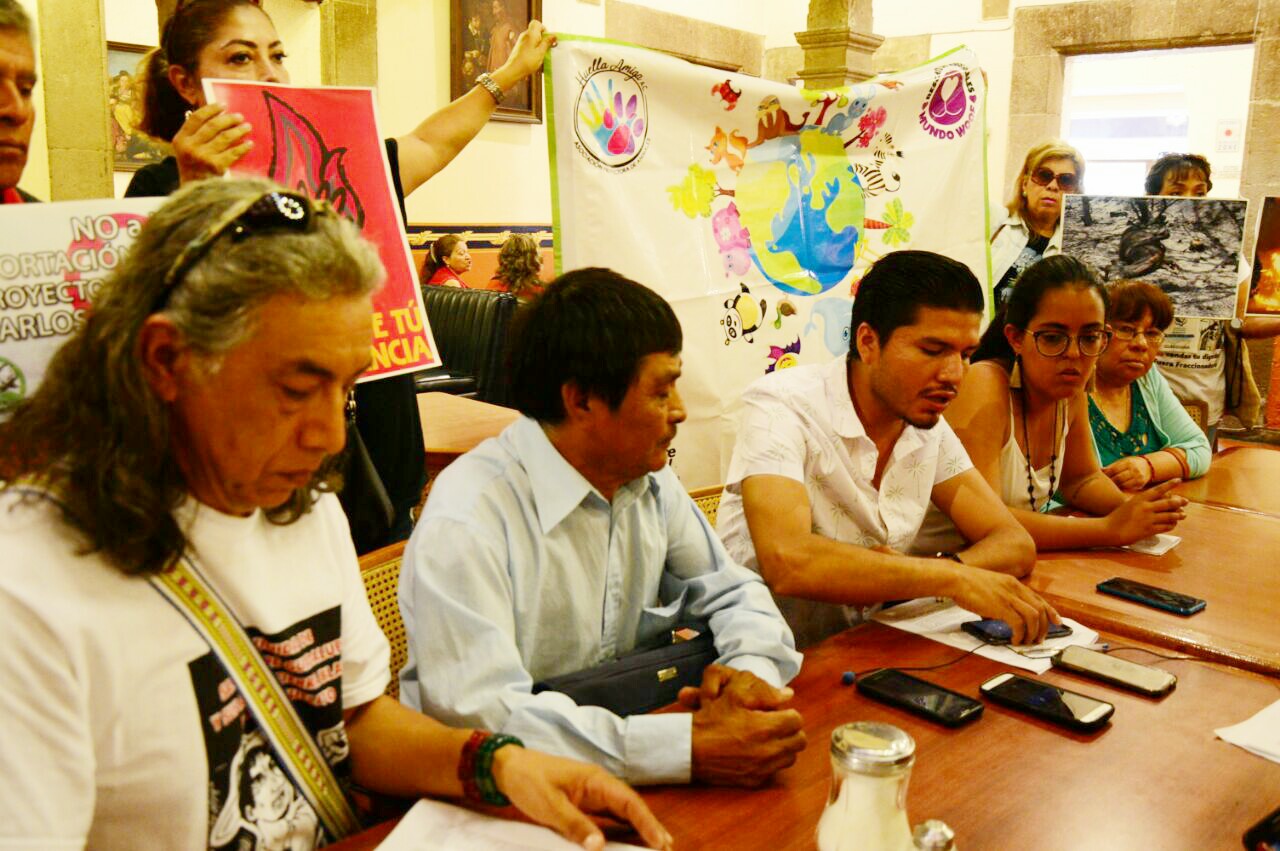  Activistas pedirán a López Obrador que intervenga para declarar veda forestal en San Miguelito