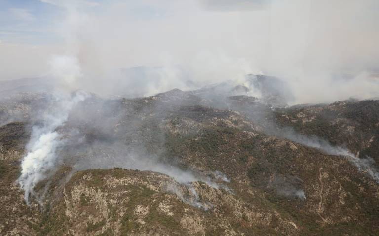  Reforestación de Sierra de San Miguelito sería posible hasta dentro de un año: Segam