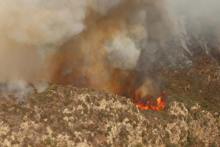  Cruz Roja ha atendido a seis brigadistas que combaten el incendio en San Miguelito