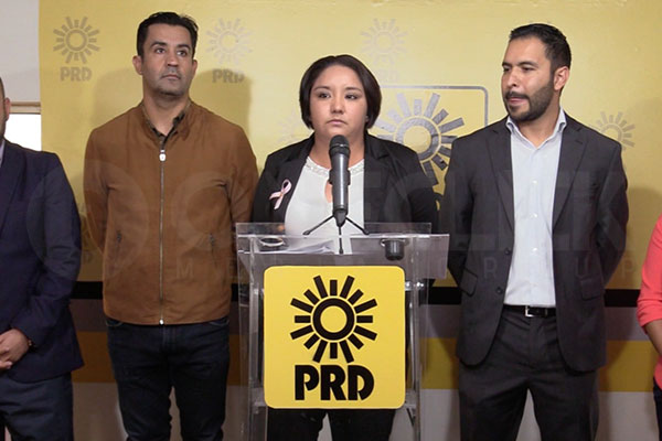  Ana Rosa Pineda sería expulsada del PRD por agresiones contra Ángel Ávila Romero