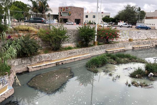  Peste en la UAM no es prioridad del Ayuntamiento