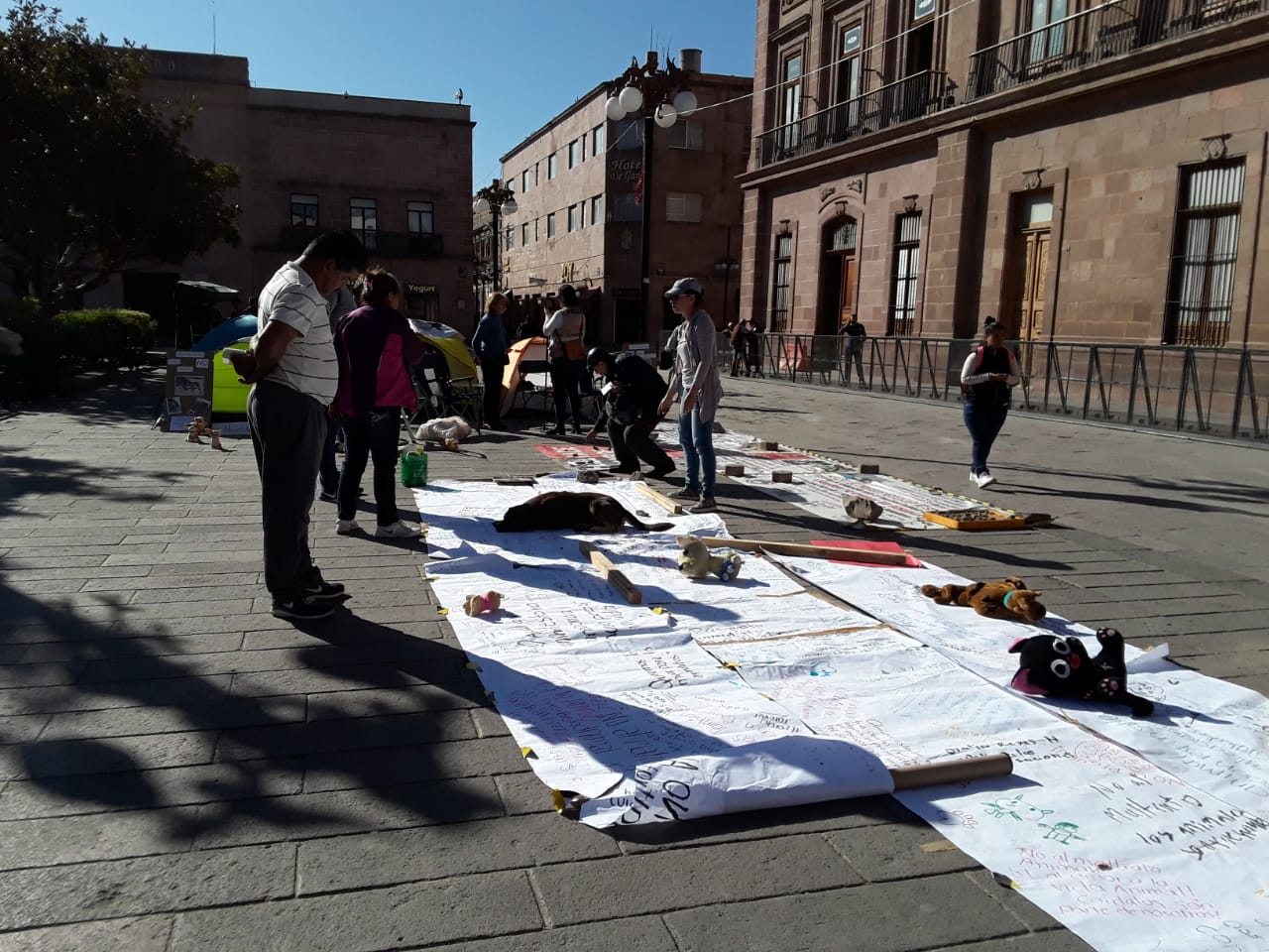  Defensoras de animales cumplen cinco días en huelga de hambre