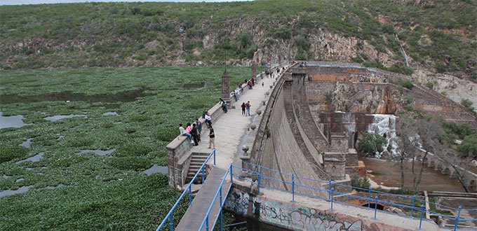  Por iniciar, limpieza de lirio de la presa de San José, informa Interapas