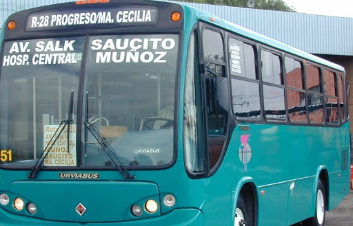  SCT no cancelará rutas de transporte público, reitera Alejandra Valdés