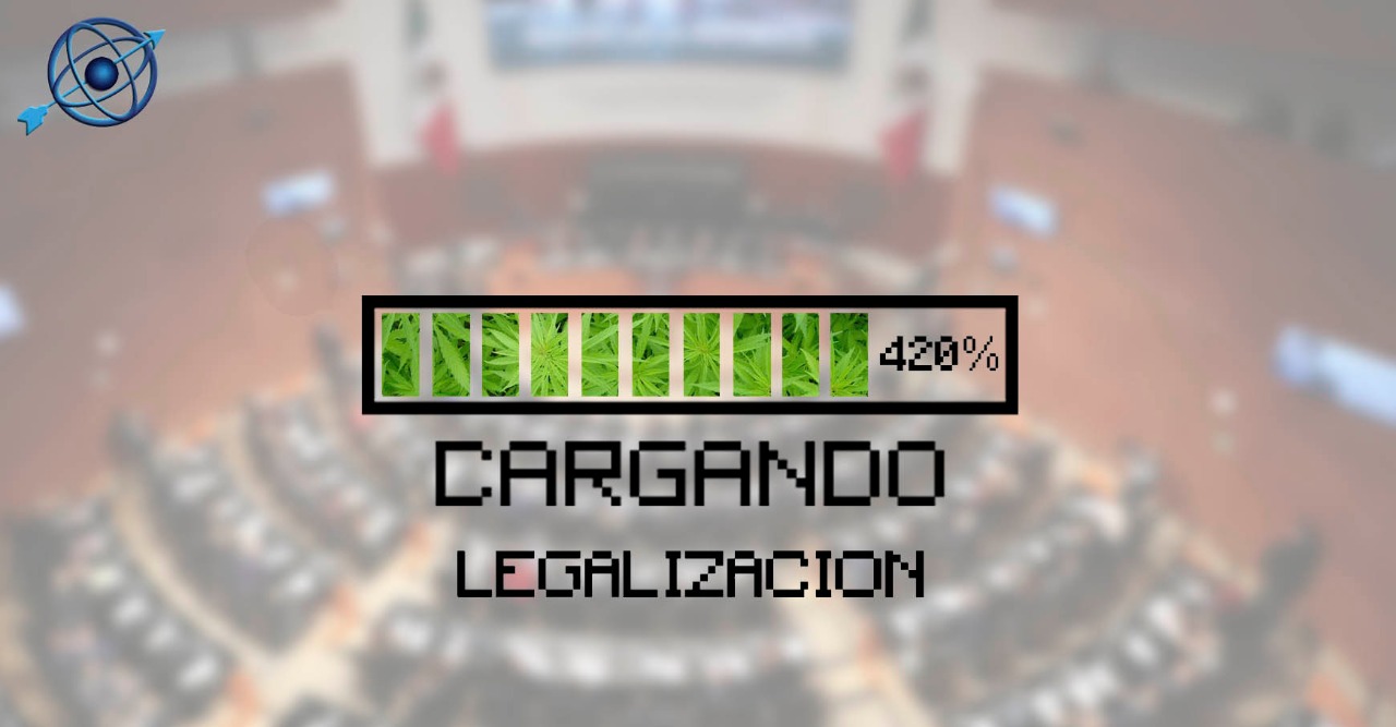  Aprueba Senado regulación del cannabis; avanza en legislatura federal y ya hay proyectos en SLP