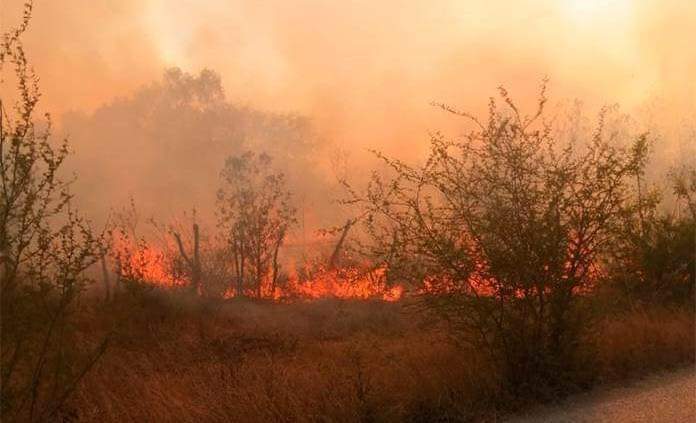  Se reactiva incendio forestal en el Altiplano