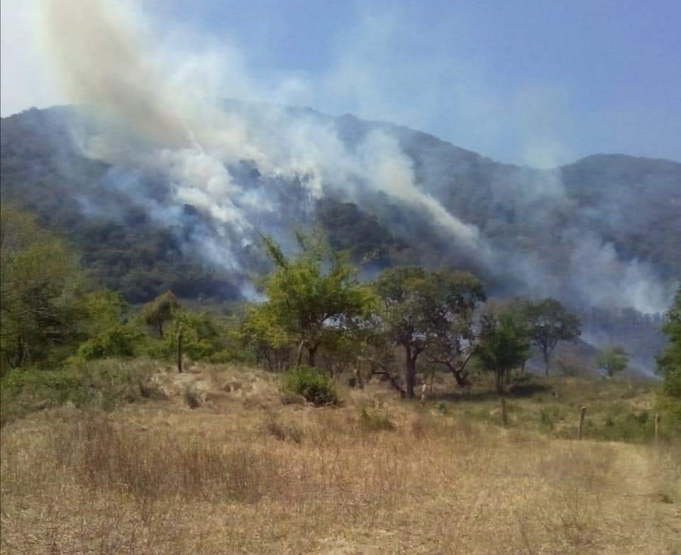  Hay seis incendios forestales activos en el estado